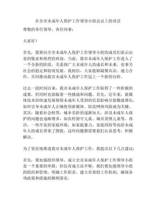 在全市未成年人保护工作领导小组会议上的讲话