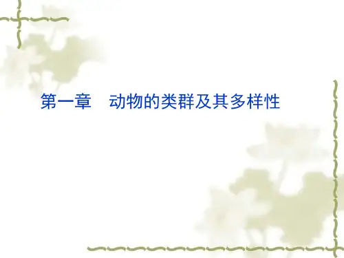 动物的类群及其多样性