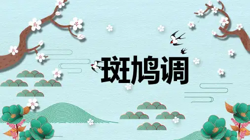 《斑鸠调》精品课件2023