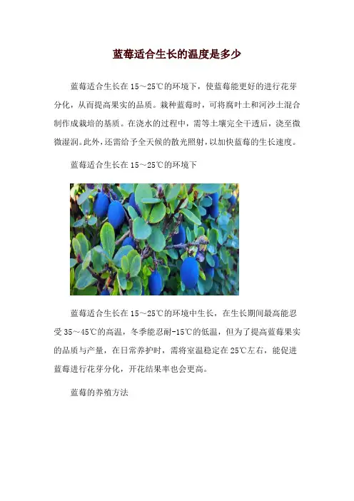 蓝莓适合生长的温度是多少