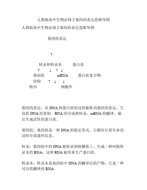 人教版高中生物必修2基因的表达思维导图