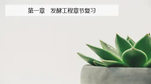 第一章发酵工程的知识点复习高二下学期生物人教版选择性必修三