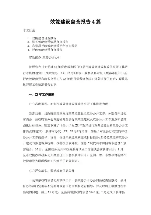 效能建设自查报告4篇