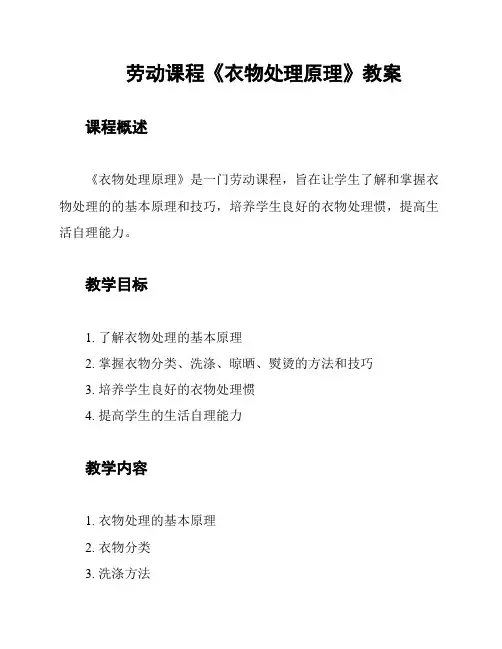 劳动课程《衣物处理原理》教案