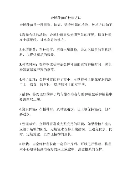 金蝉种苗的种植方法