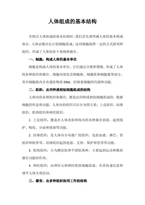 人体组成的基本结构