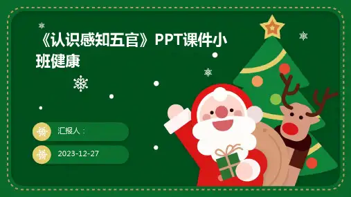《认识感知五官》PPT课件小班健康