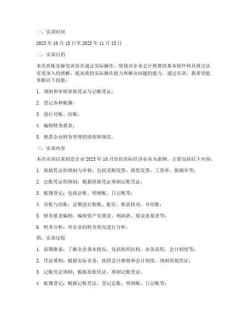 真账实操_实训报告