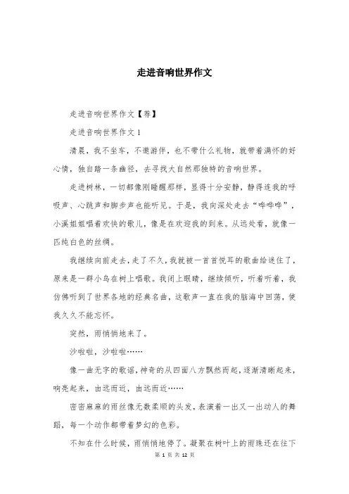走进音响世界作文精编