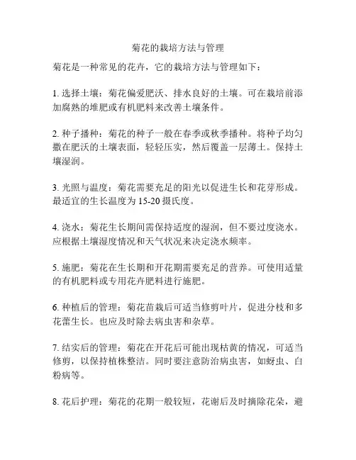 菊花的栽培方法与管理