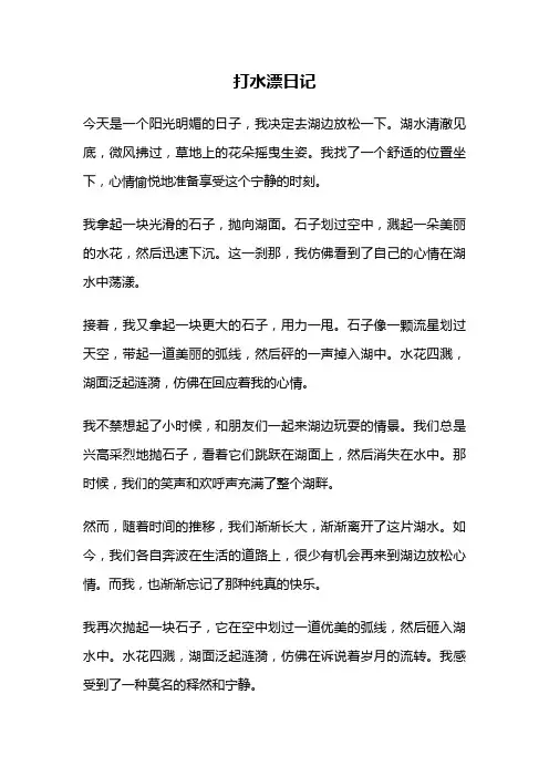 打水漂日记