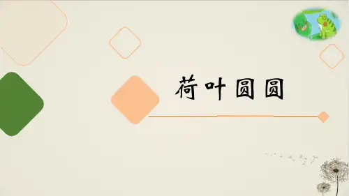 《荷叶圆圆》_PPT公开课课件