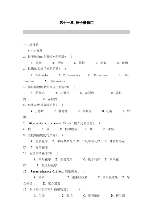 被子植物习题