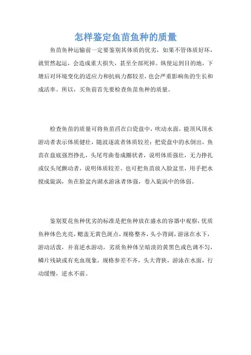 怎样鉴定鱼苗鱼种的质量