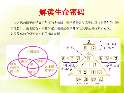 生命密码打造高绩效团队ppt课件