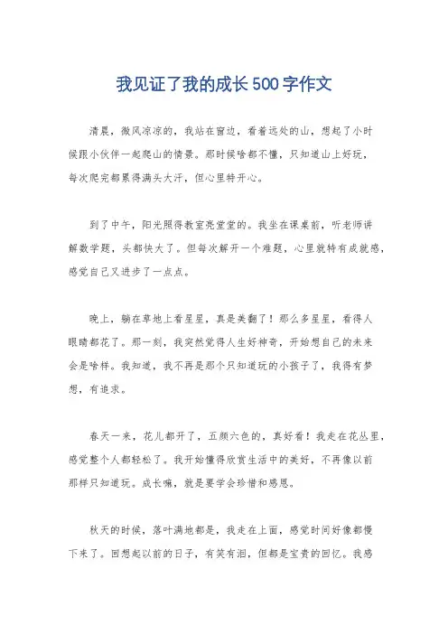 我见证了我的成长500字作文