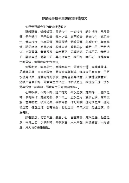 你是我寻觅今生的眷念抒情散文