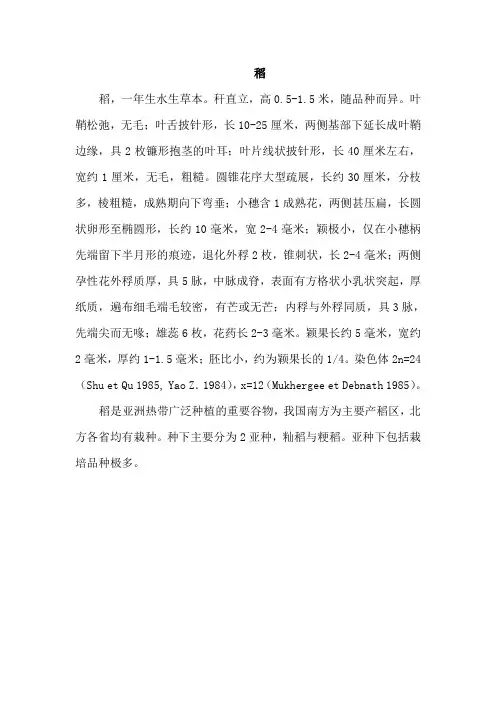 18.小稻秧脱险记(相关资料)