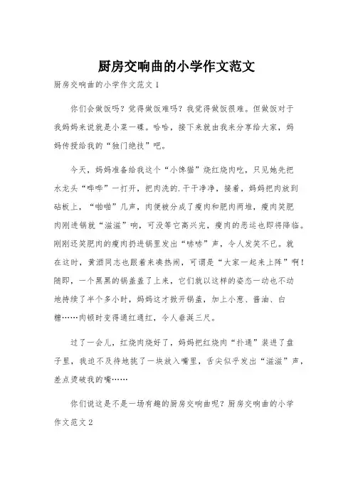 厨房交响曲的小学作文范文