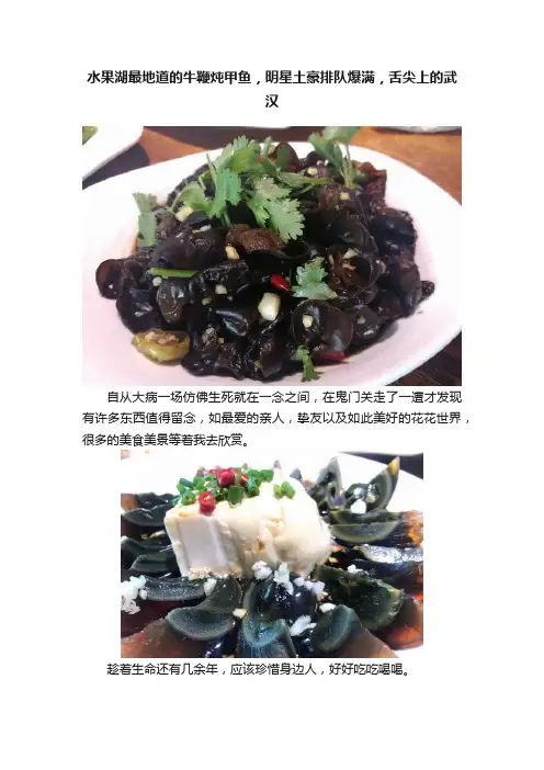水果湖最地道的牛鞭炖甲鱼，明星土豪排队爆满，舌尖上的武汉