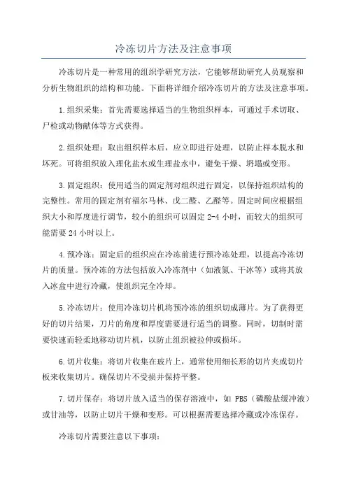 冷冻切片方法及注意事项