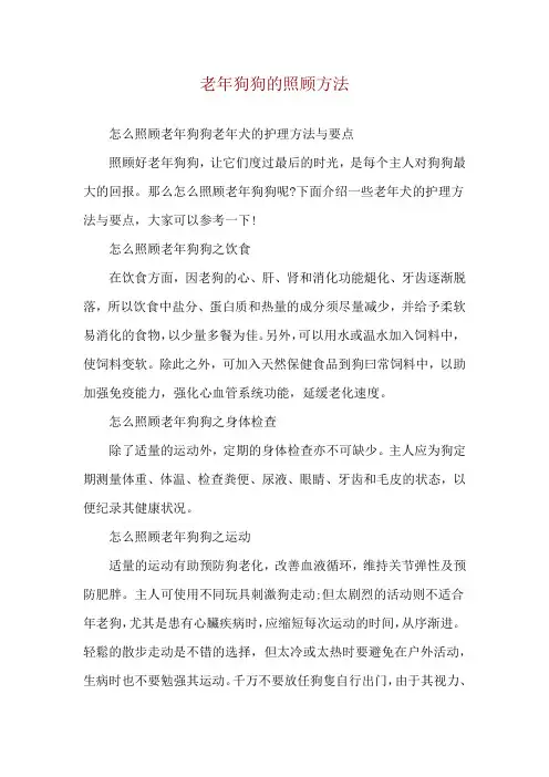 老年狗狗的照顾方法
