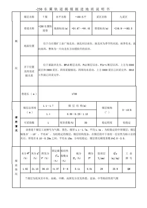-250东翼轨道揭煤掘进地质说明书