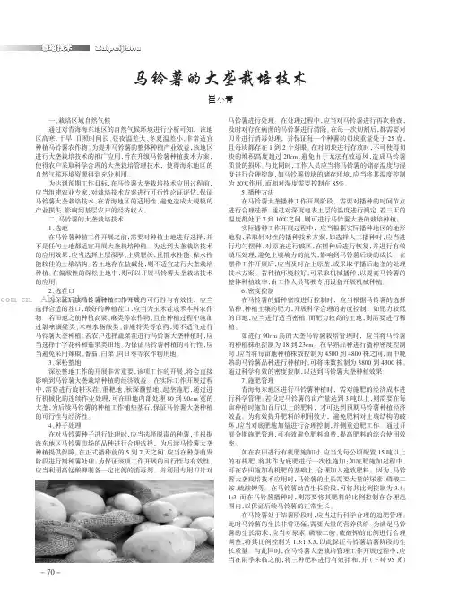 马铃薯的大垄栽培技术