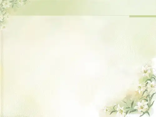 视频信息的采集与加工
