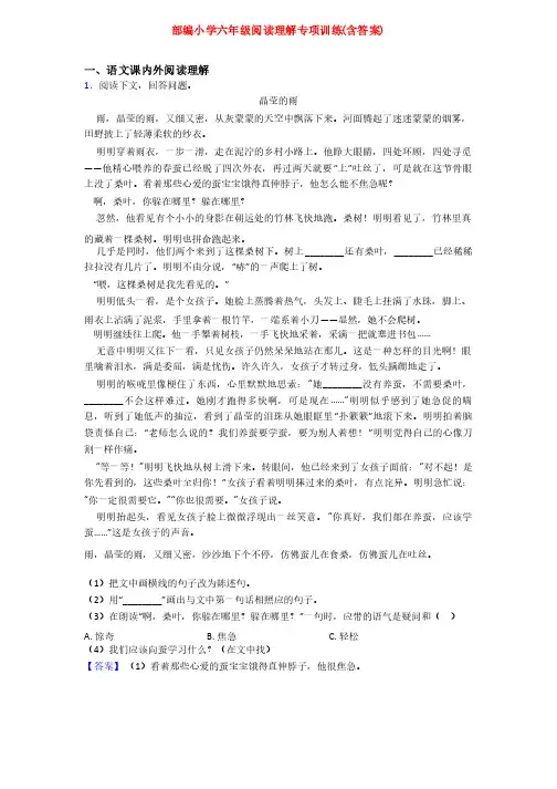 部编小学六年级阅读理解专项训练（含答案）