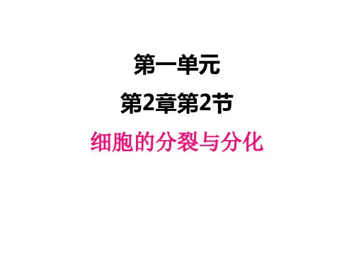 济南版生物七年级上册 .2 细胞的分裂与分化 课件