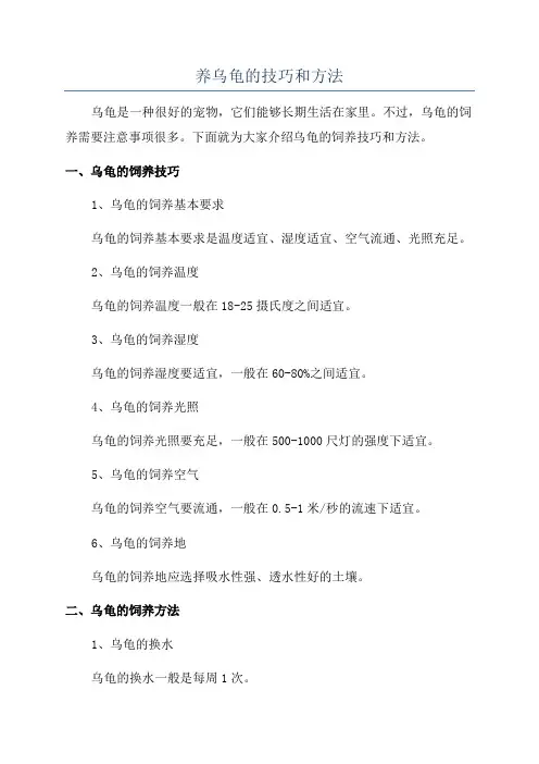养乌龟的技巧和方法
