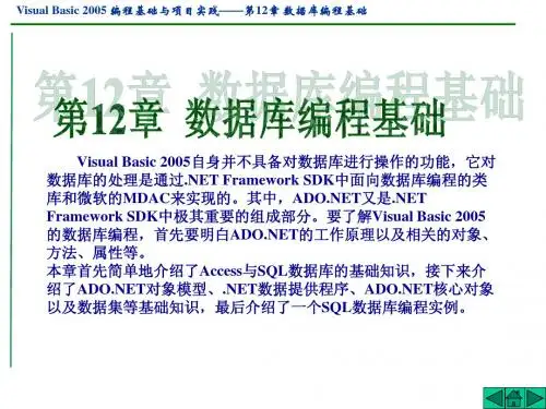 Visual Basic 2005编程基础与项目实践_12