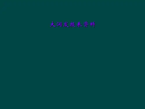 大润发报表资料