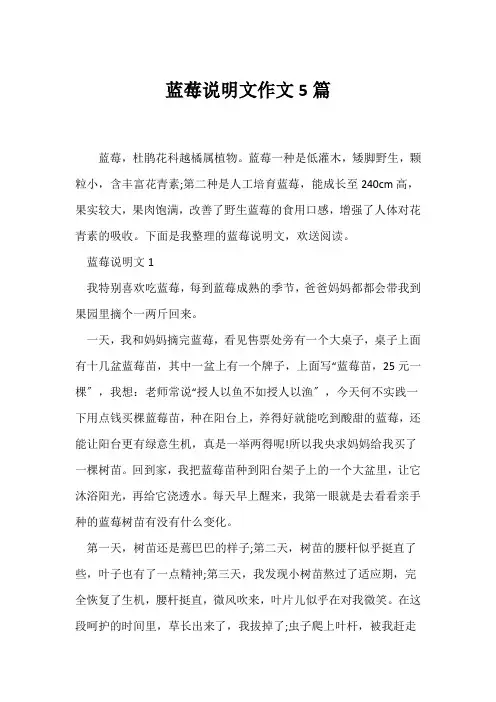(说明文)蓝莓说明文作文5篇