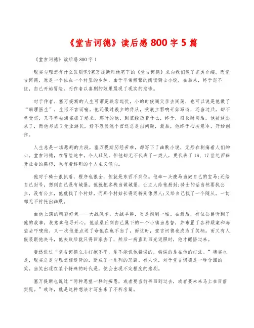《堂吉诃德》读后感800字5篇