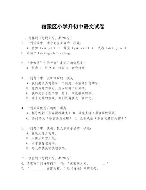 宿豫区小学升初中语文试卷