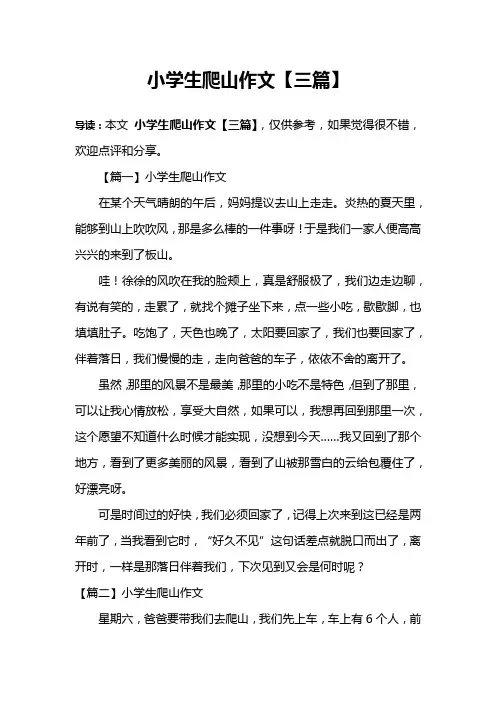 小学生爬山作文【三篇】