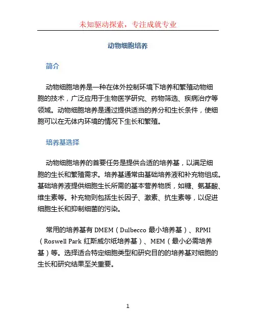 动物细胞培养