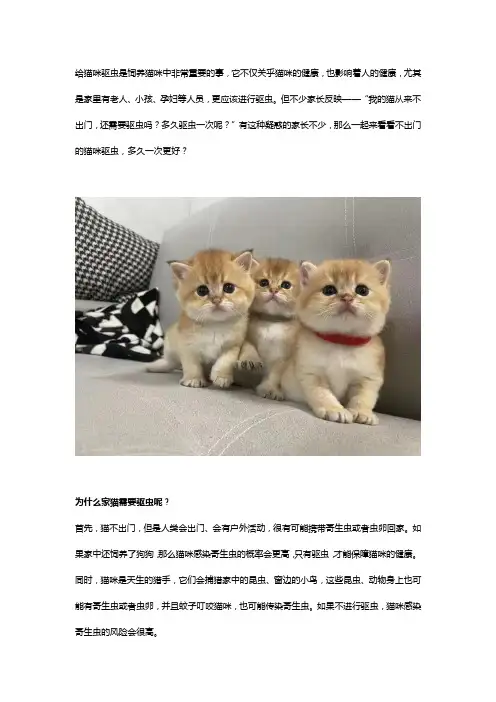 不出门的猫咪驱虫,多久一次更好？