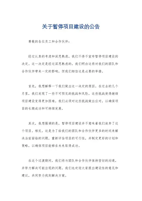 关于暂停项目建设的公告