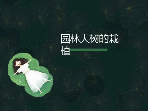 园林树木栽植注意事项
