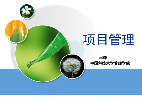 项目成熟度第一章
