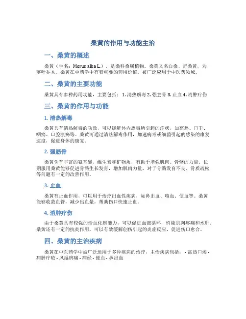 桑黄的作用与功能主治是什么