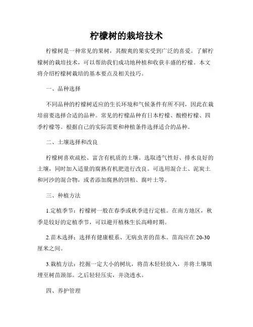 柠檬树的栽培技术