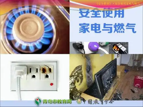 安全使用家电与燃气ppt