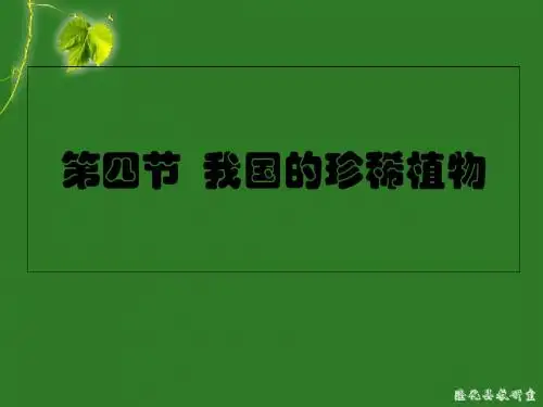 我国的珍稀植物课件-精品文档