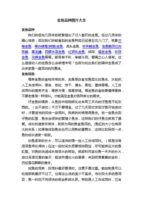 金鱼品种图片大全