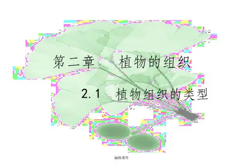 2.1植物组织的类型