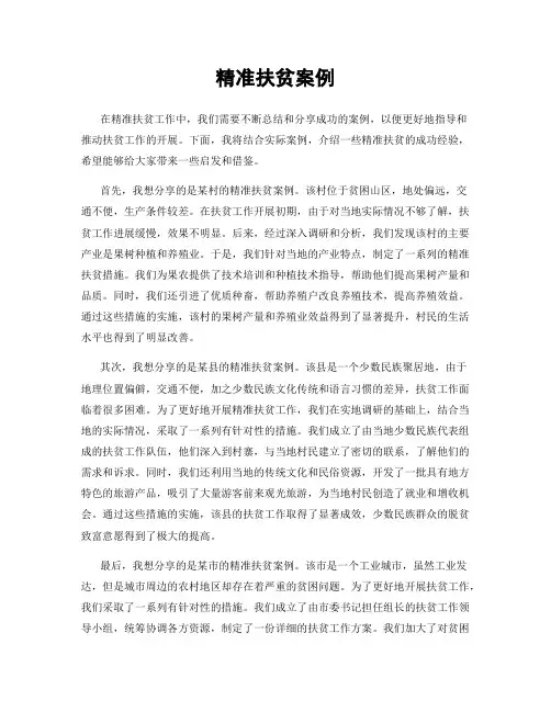 精准扶贫案例